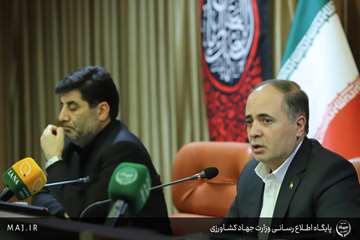 IMG_1634 copy